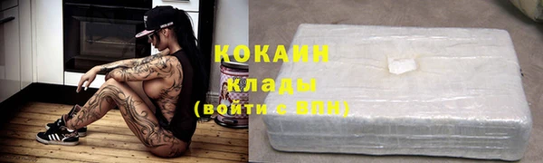 крисы Новодвинск