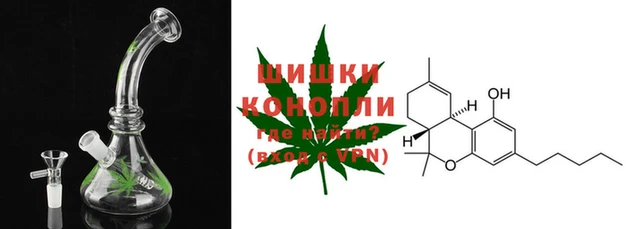 крисы Новодвинск