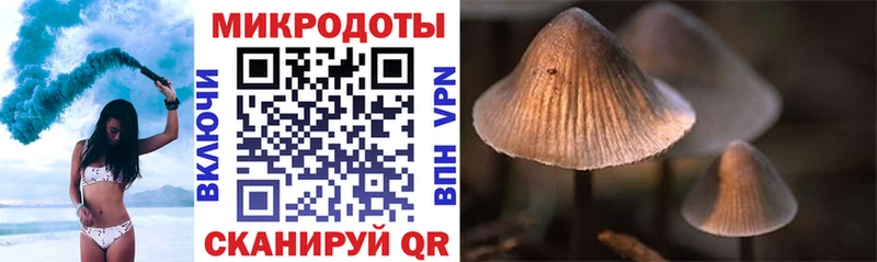 Галлюциногенные грибы Psilocybine cubensis Кирс